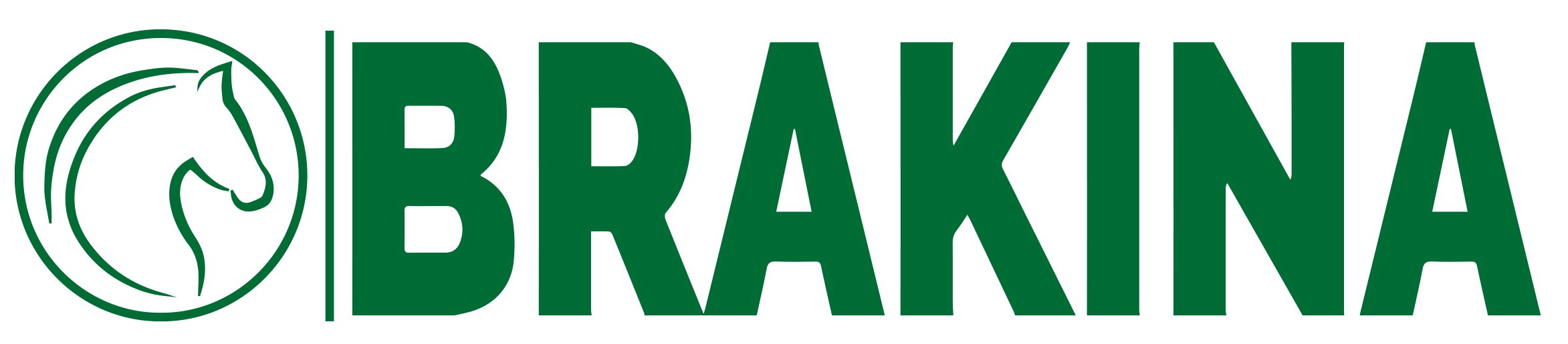 Logo Brakina