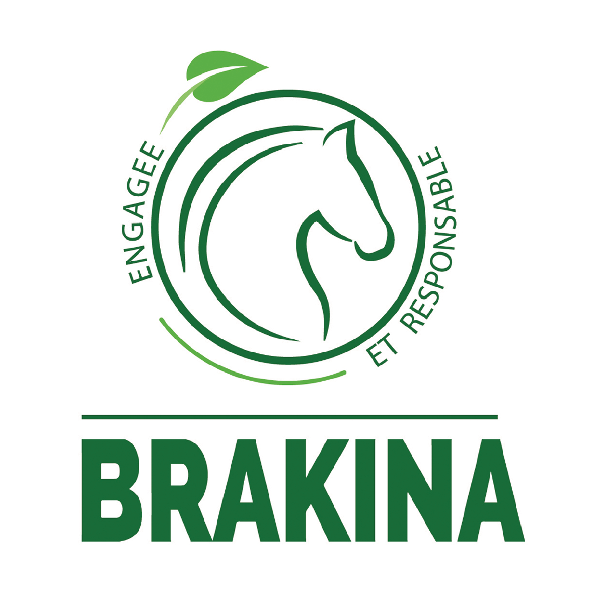 Logo BRAKINA RSE